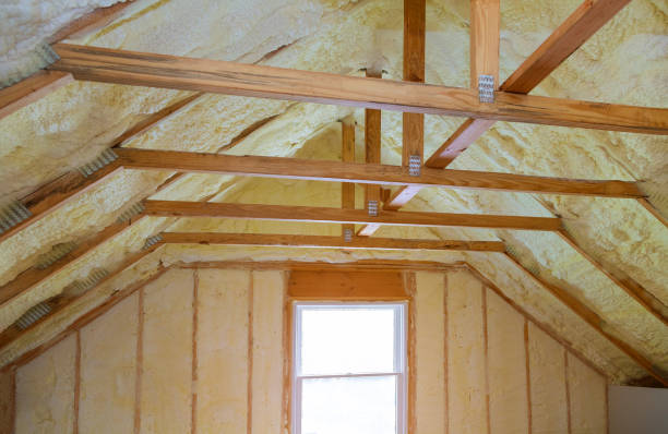 Best Cellulose Insulation in Fort Riley, KS