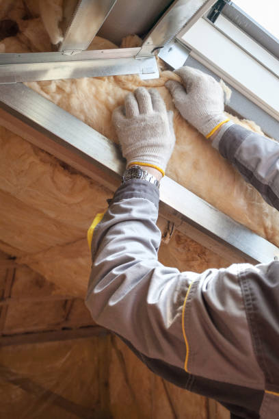 Best Eco-Friendly Insulation in Fort Riley, KS
