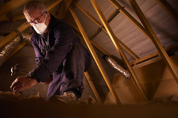 Best Cellulose Insulation in Fort Riley, KS